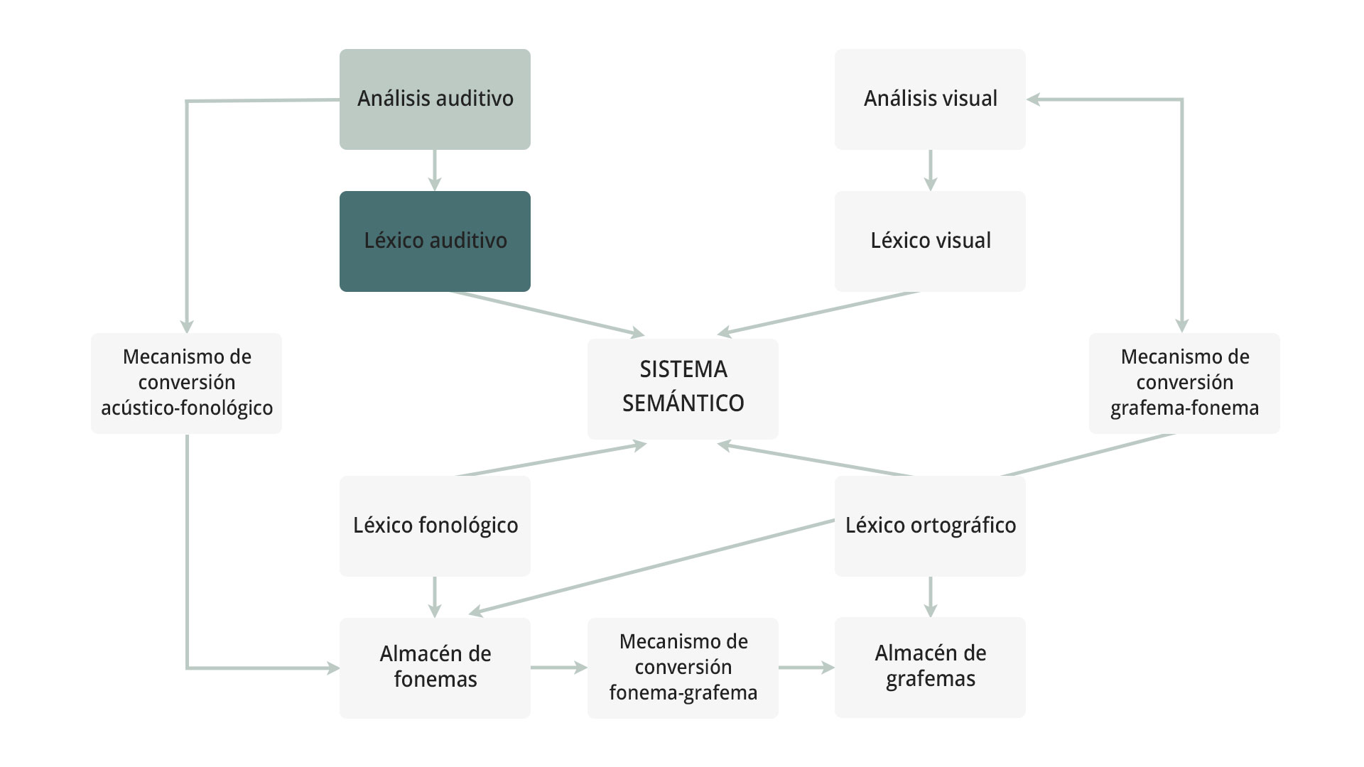 Modelo del lenguaje