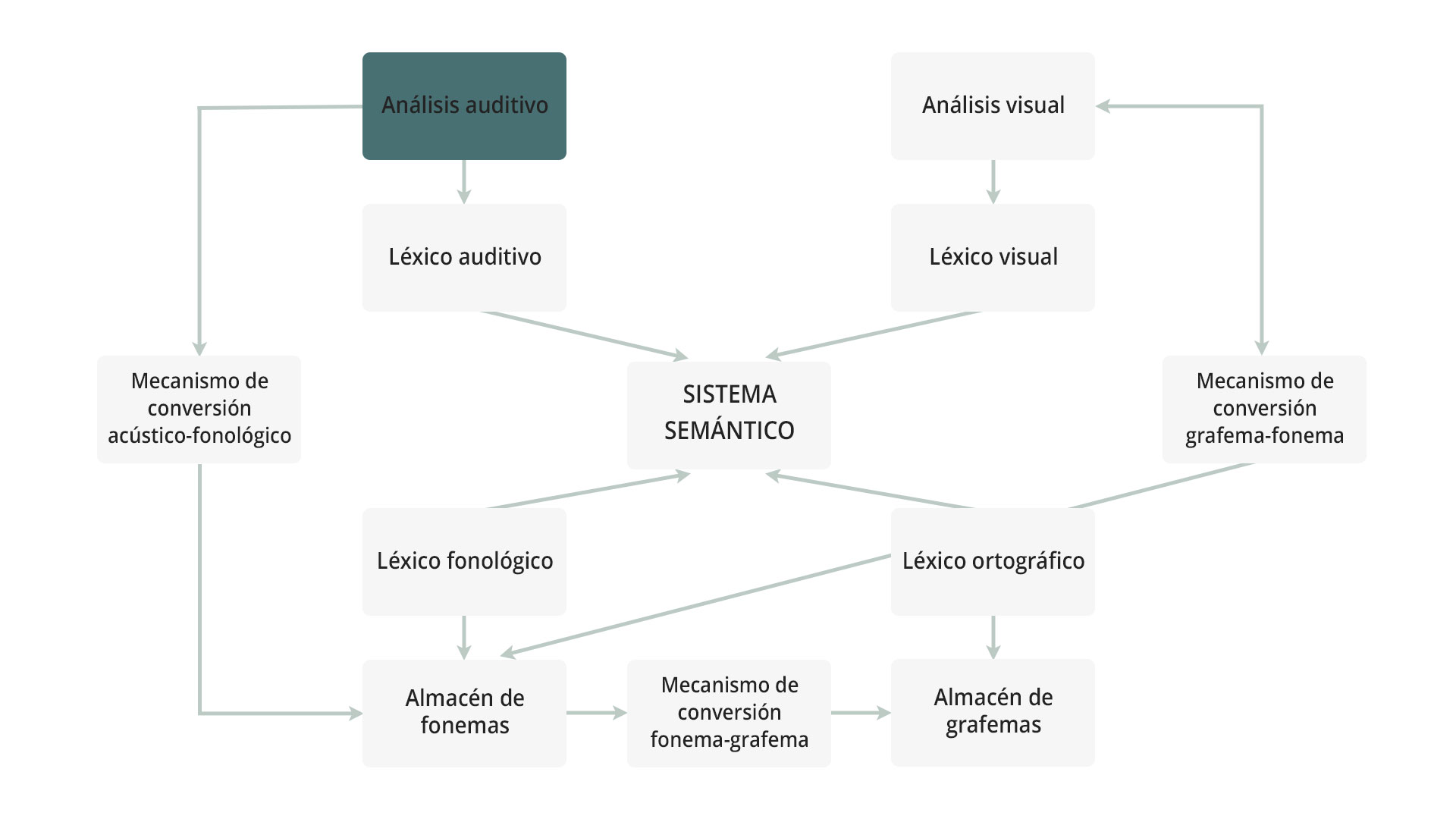 Modelo del lenguaje