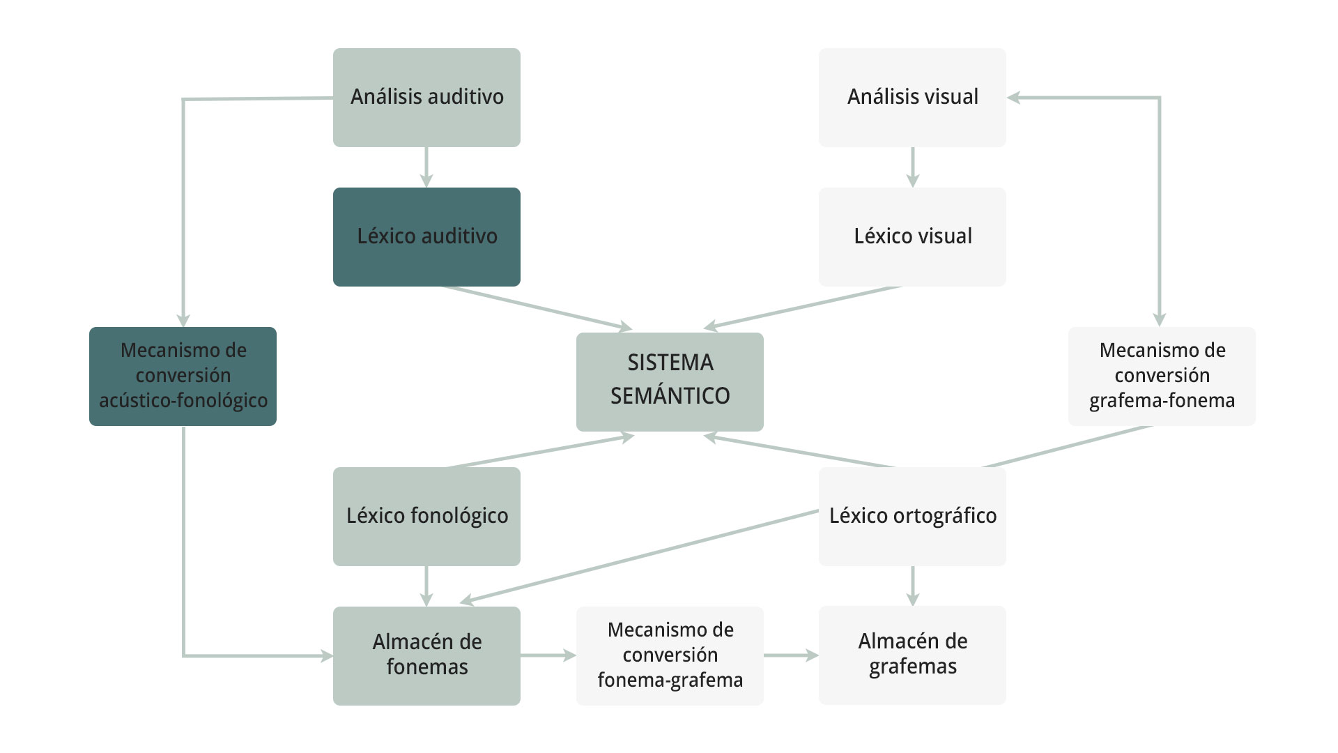 Modelo del lenguaje